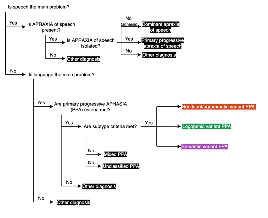 Schematized approach for speech and language disorders